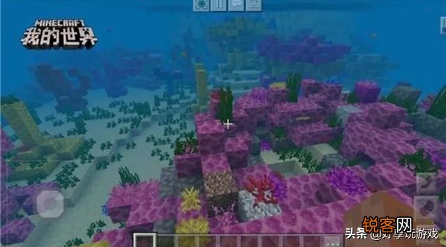 《我的世界》中有哪些生物群系？它们分别有哪些特有的建筑和生物？