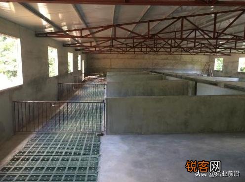 合同猪年出栏4000头,需要投资多少钱？需要注意什么？