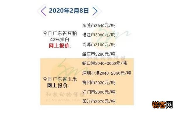 什么时候是投资养猪场的好时机?前景如何？