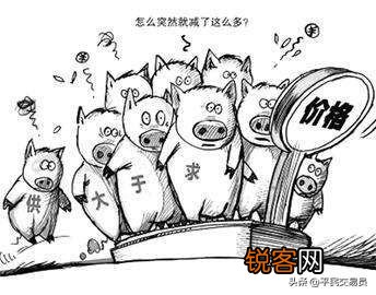 2020年下半年,投资养猪场,还来得及吗？