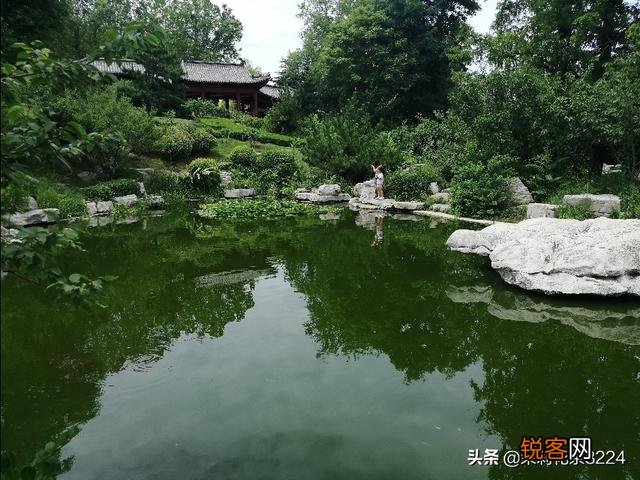 肠胃功能差的宝宝适合哪个品牌的奶粉？