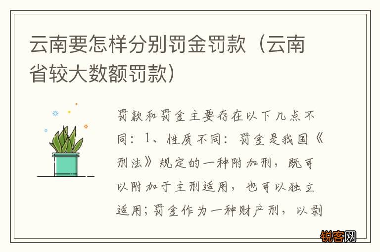 云南省较大数额罚款 云南要怎样分别罚金罚款