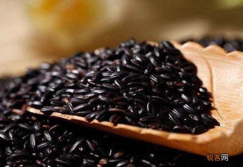 黑米为什么不能随便乱吃呢？医生提醒：这4类人不宜多吃