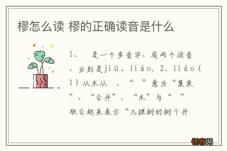 樛怎么读 樛的正确读音是什么