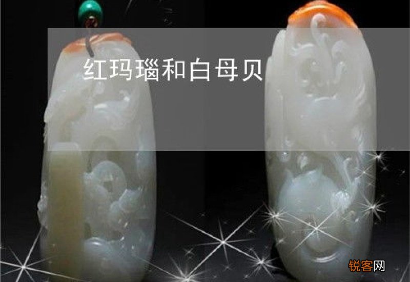 母贝和贝母一样吗