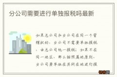 分公司需要进行单独报税吗最新