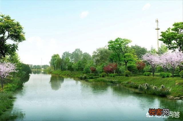 临沂市在山东属于一个怎样的地位？