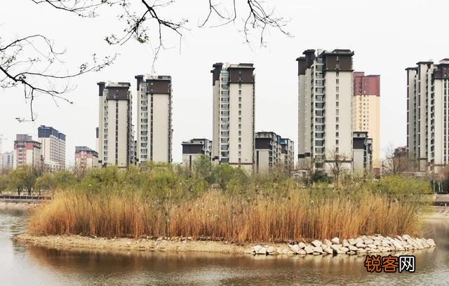 临沂是一座怎样的城市？