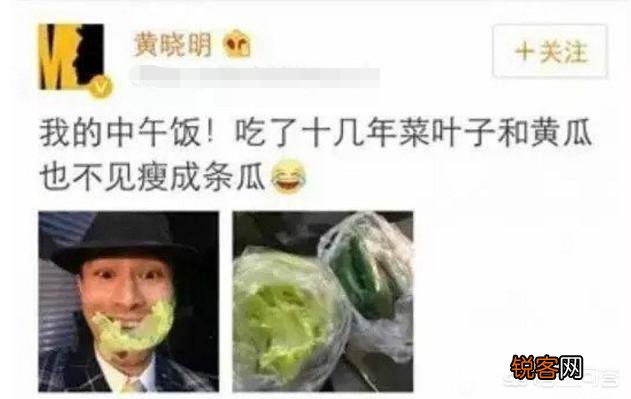 为什么明星减肥速度比较快？