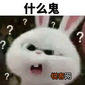 新手如何玩转小红书引流 小红书如何引流
