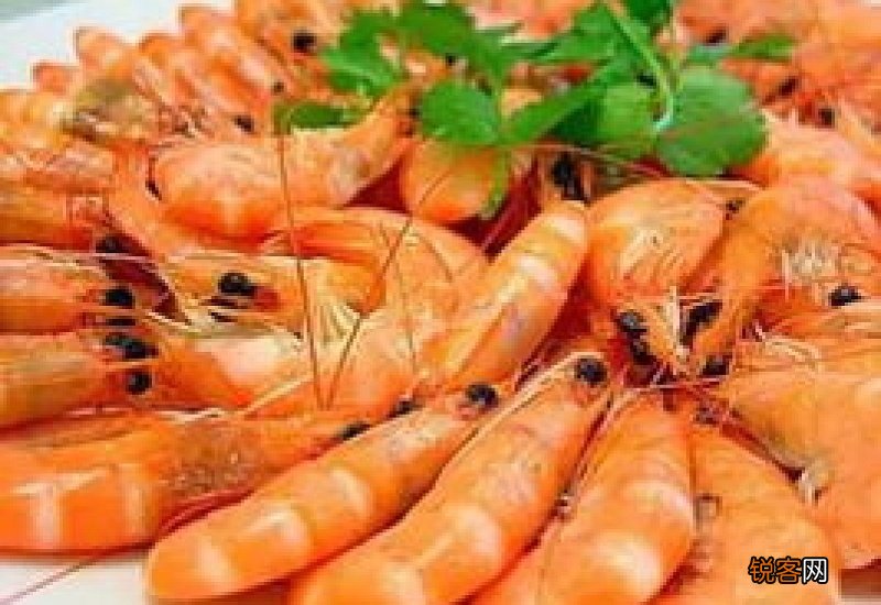 虾要吃什么东西