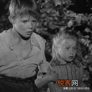 《被禁止的游戏》表达了什么意思？