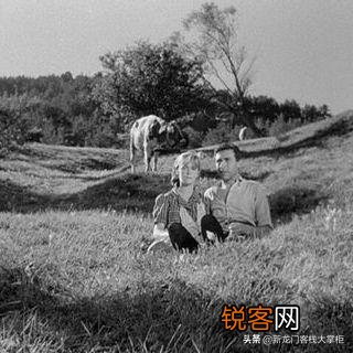 《被禁止的游戏》表达了什么意思？