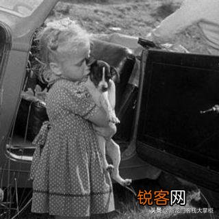 《被禁止的游戏》表达了什么意思？