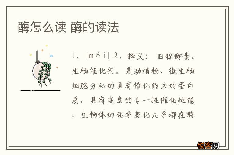 酶怎么读 酶的读法