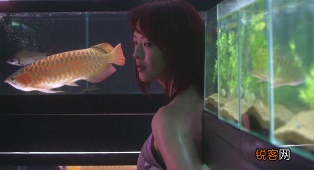 你看过哪些三观非常不正确但很优秀的电影？