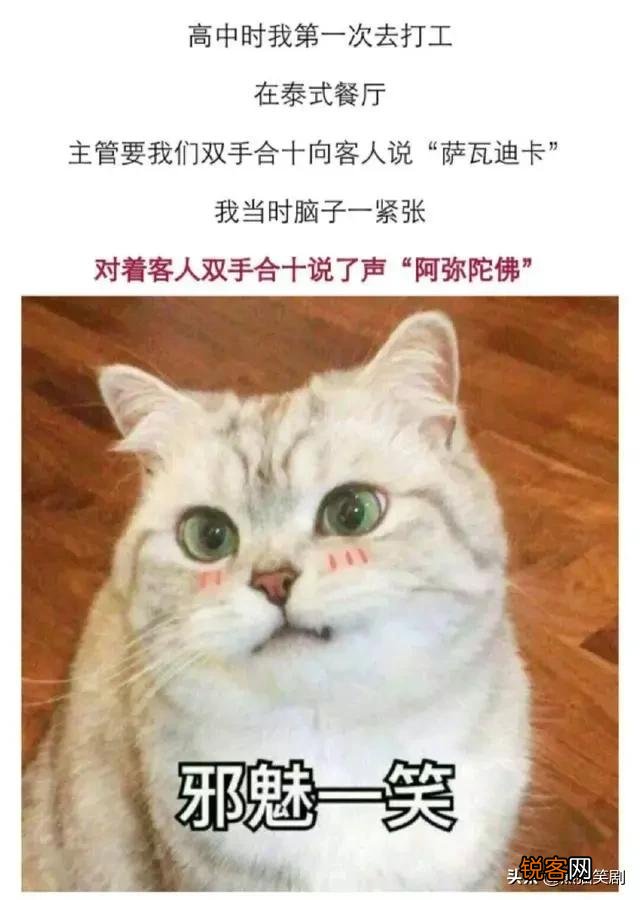 有哪些可可爱爱的沙雕句和表情包？