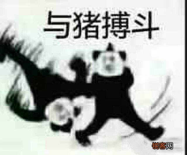 有哪些可可爱爱的沙雕句和表情包？
