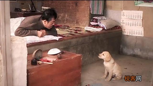 动物题材类电影,你认为最为经典的是哪一部？