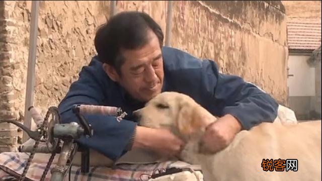 动物题材类电影,你认为最为经典的是哪一部？