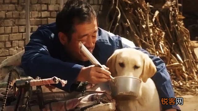 动物题材类电影,你认为最为经典的是哪一部？