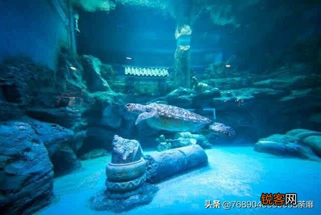 电影中你最喜欢的经典桥段有哪些？