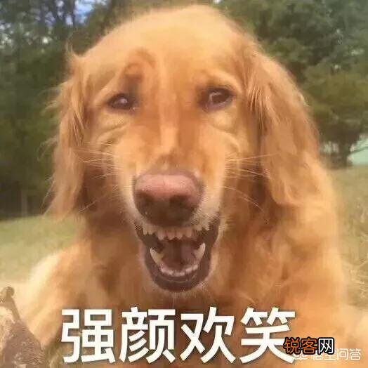 如何选择一部好的电影？