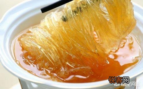 鱼翅是什么？有什么营养价值？
