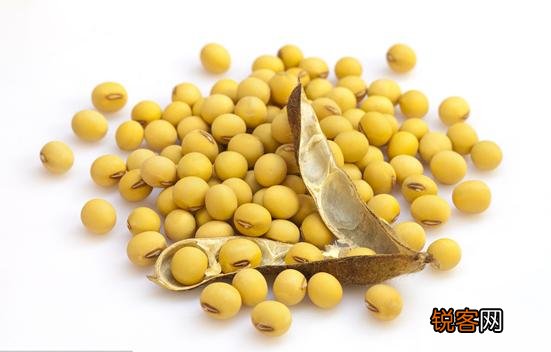 益智的食物有哪些？你吃了吗？