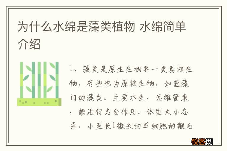 为什么水绵是藻类植物 水绵简单介绍