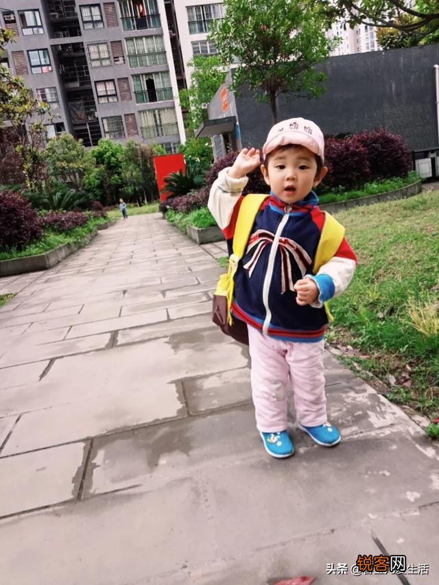 1-5岁的儿童,吃什么最补脑？你家的宝宝有多聪明,来说说？