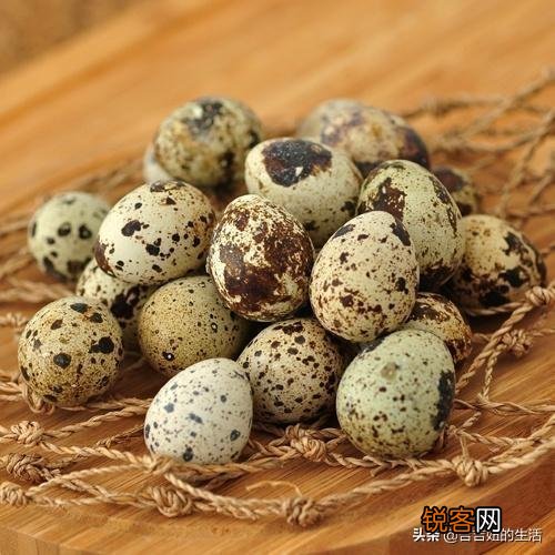 补脑的菜有哪些适合秋天吃的？