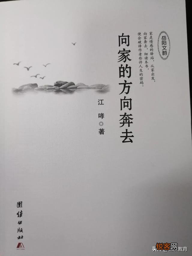 中小学教师真的像俞敏洪说的那样不读书吗？