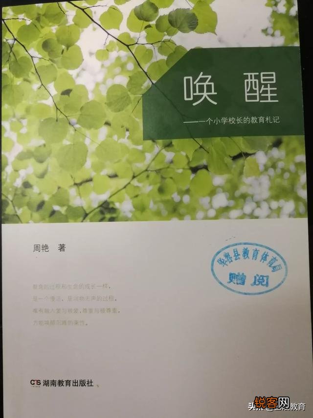 中小学教师真的像俞敏洪说的那样不读书吗？