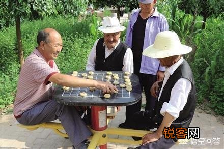 预防老年痴呆——吃哪些食物可以增强大脑的记忆力,提高大脑的反应速度呢？