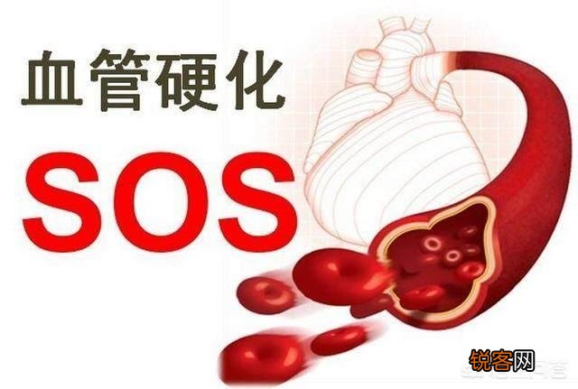 预防老年痴呆——吃哪些食物可以增强大脑的记忆力,提高大脑的反应速度呢？
