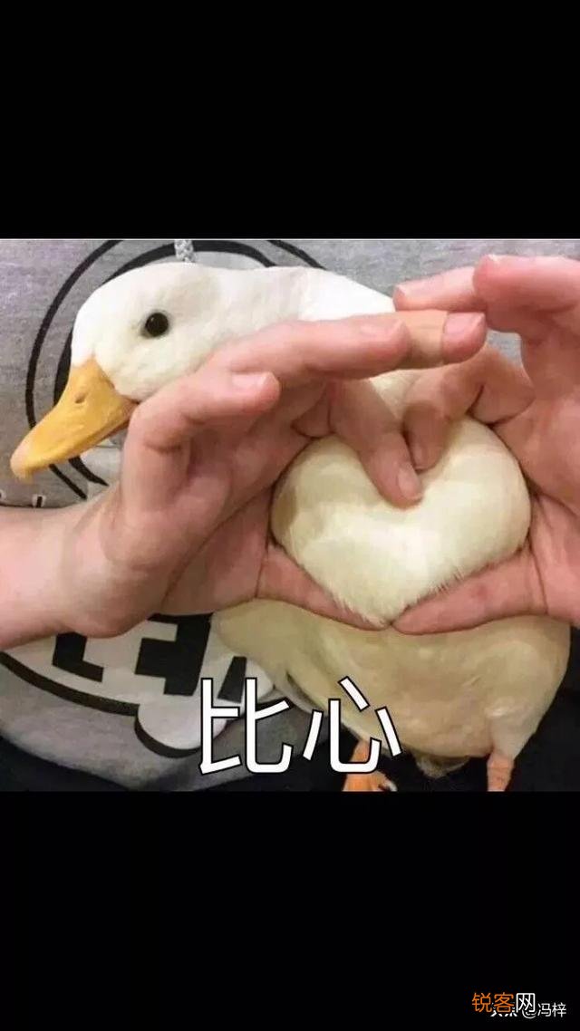 孩子学习累吃什么补脑？