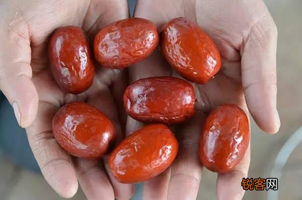 给孩子吃什么补脑？