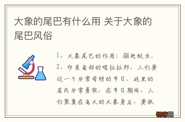 大象的尾巴有什么用 关于大象的尾巴风俗
