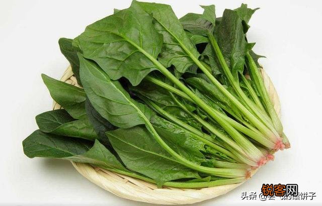 什么菜是补钙补脑的？