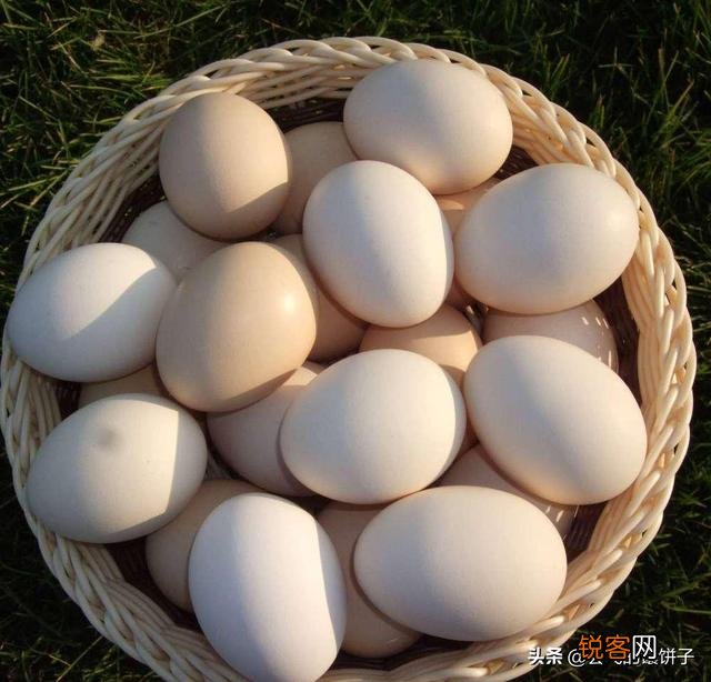 什么菜是补钙补脑的？
