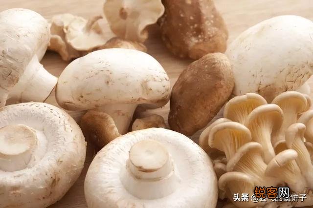 什么菜是补钙补脑的？