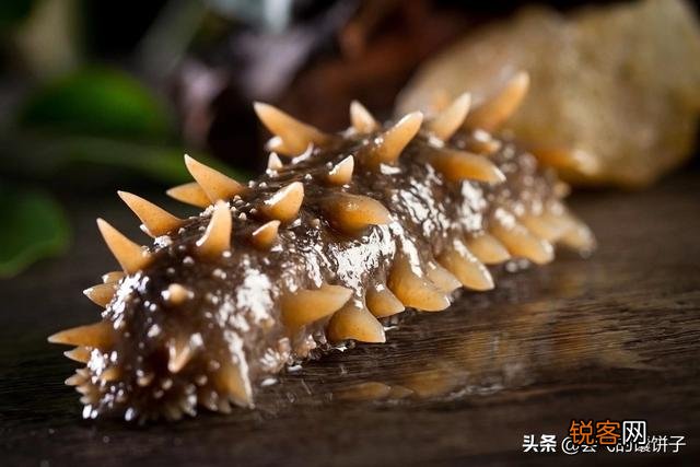 什么菜是补钙补脑的？