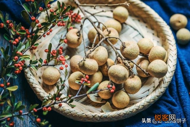 什么菜是补钙补脑的？
