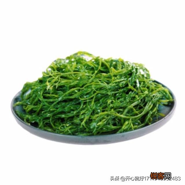 补脑的食物有哪些？可以补脑增强记忆力的食物排行榜如何？