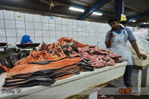 中东人的生活是什么样的？