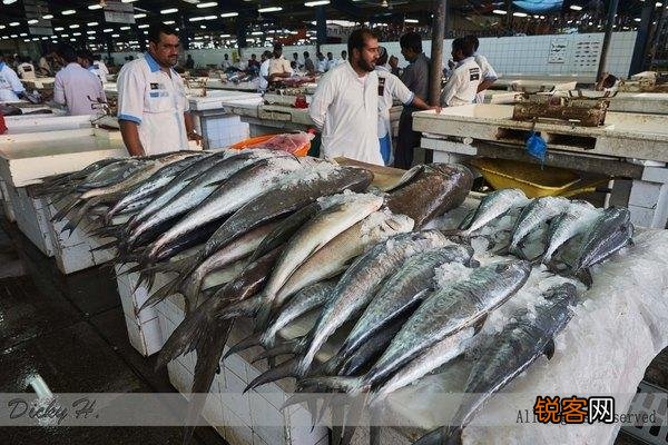 中东人的生活是什么样的？