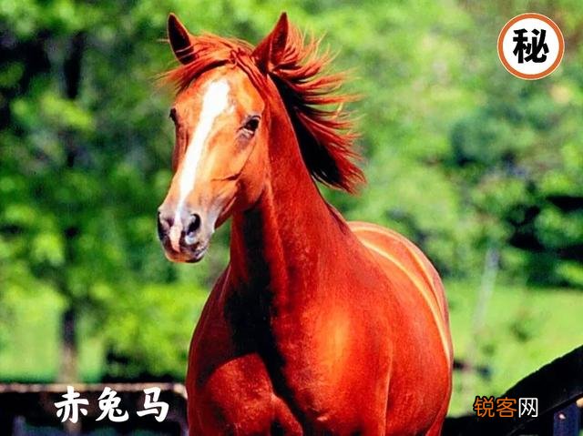 关羽死后,他的青龙偃月刀和赤兔马都被谁据为己有？结局如何？
