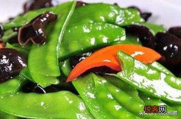 扁豆有什么功效和作用？