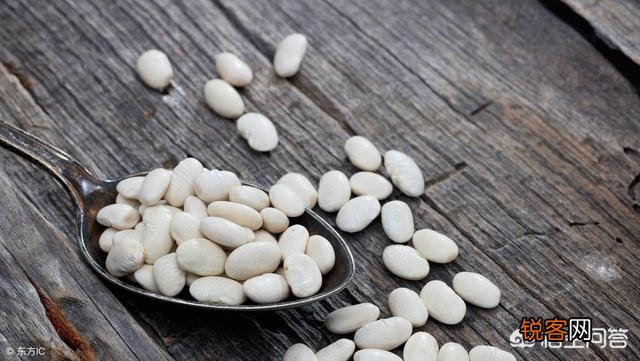 扁豆有什么功效和作用？